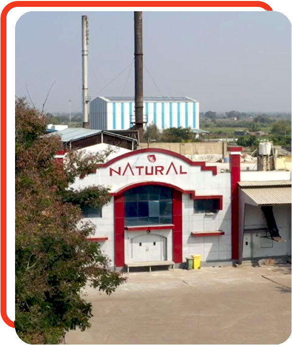 Onion Dehydration Plant, Mahuva