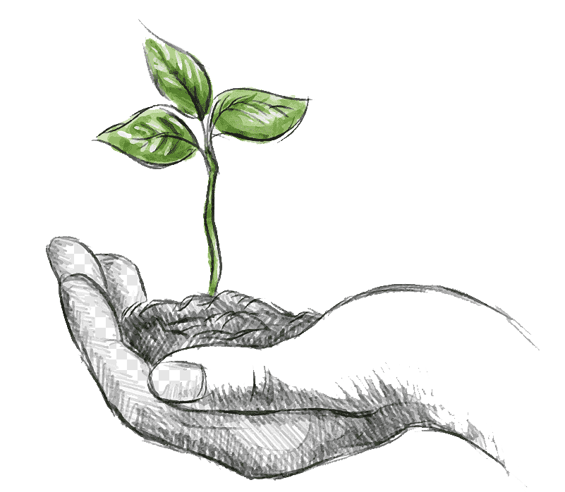 Sustainably